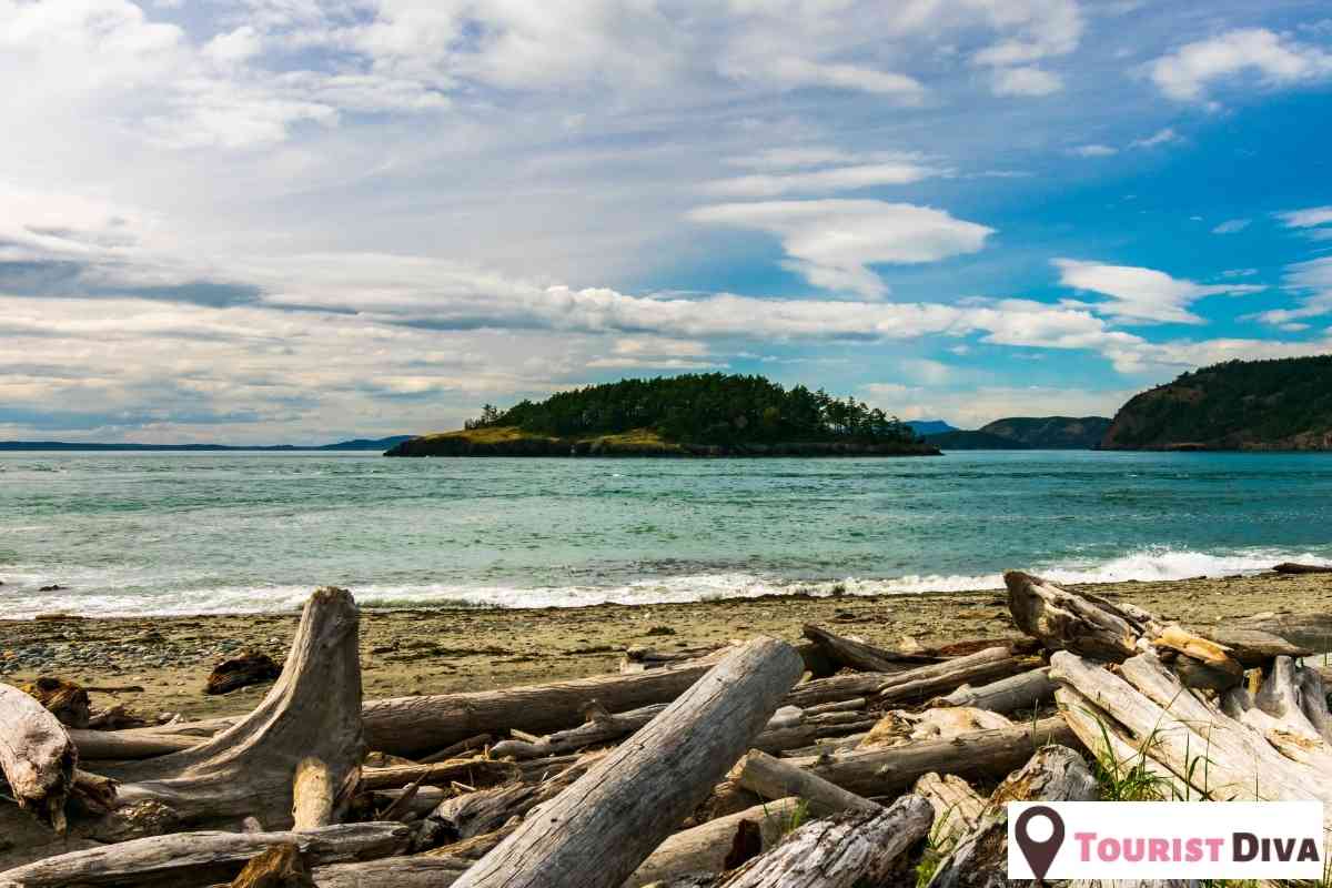 21 Best & Fun Things to Do in Oak Harbor (WA)