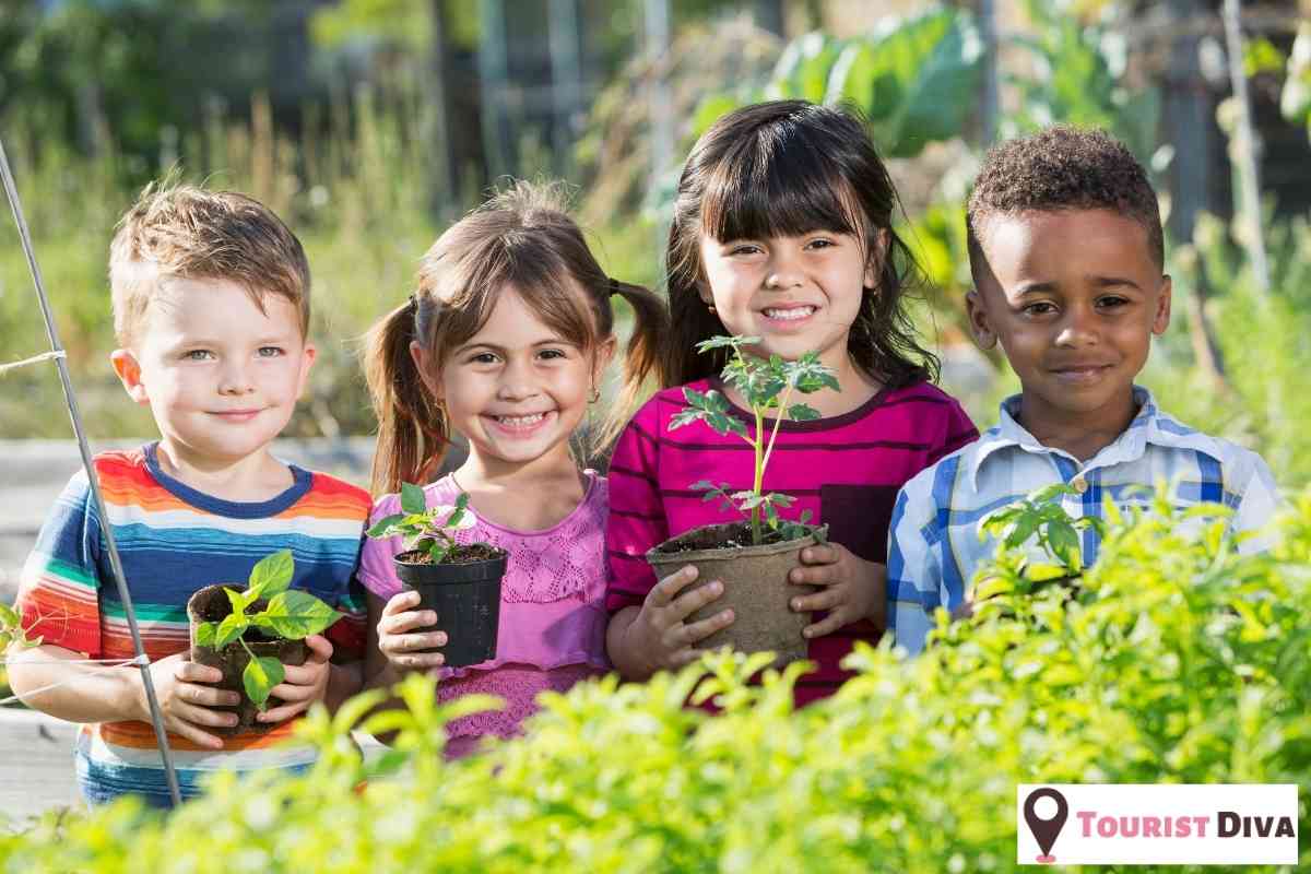 21 Best & Fun Things to Do in Ithaca (NY)