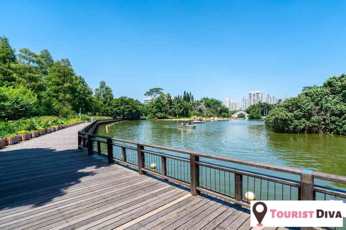 21 Best & Fun Things to Do in Mebane (NC)