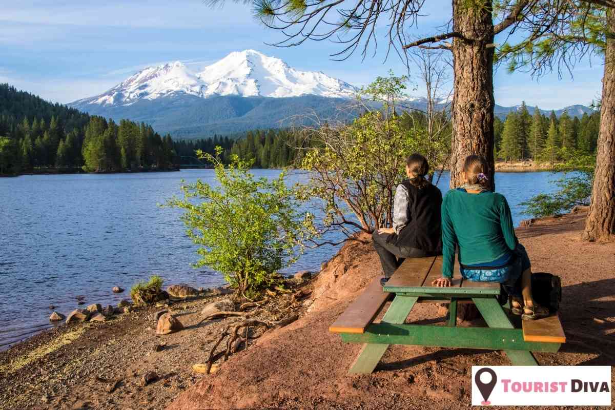 21 Best & Fun Things to Do In Mount Shasta, NorCal