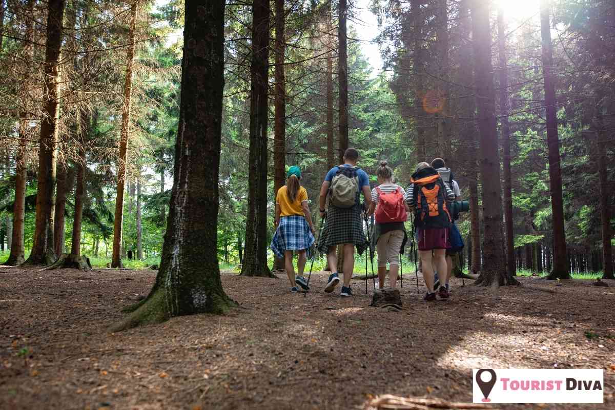 21 Best & Fun Things to Do in Brookings (SD)