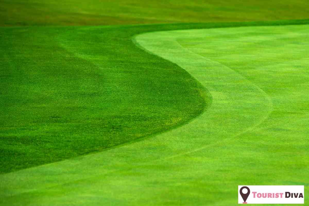 21 Best & Fun Things to Do in Flathead Valley (Montana)