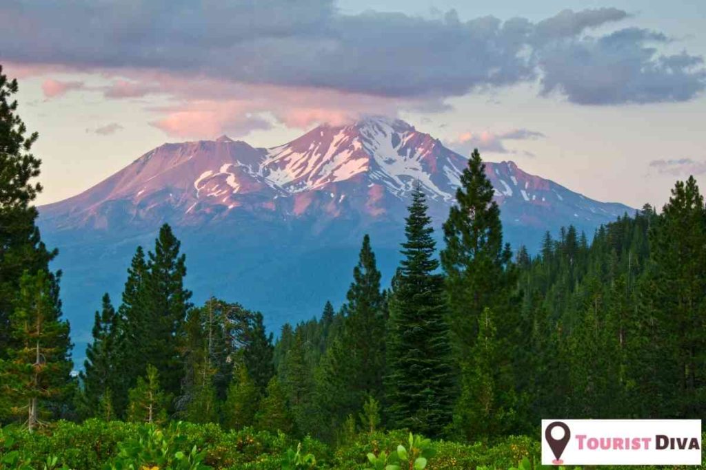 Things to Do In Mount Shasta, NorCal