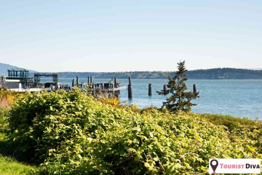 Things to Do in Anacortes