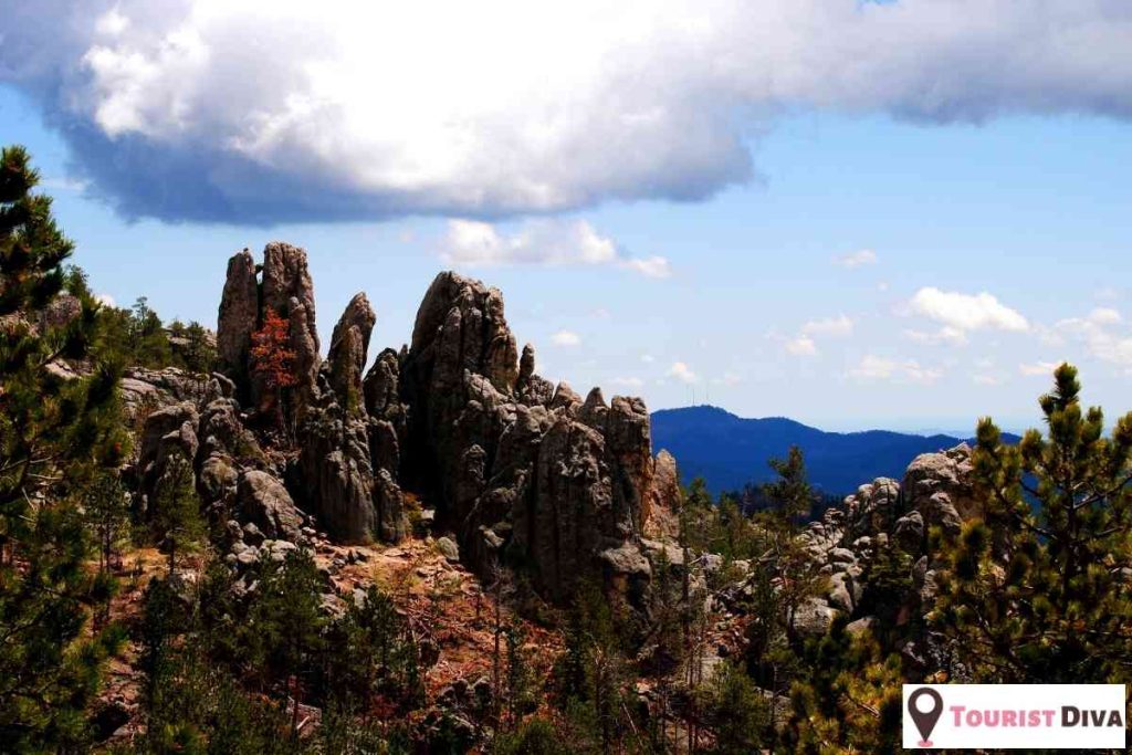 Things to Do in Black Hills, SD