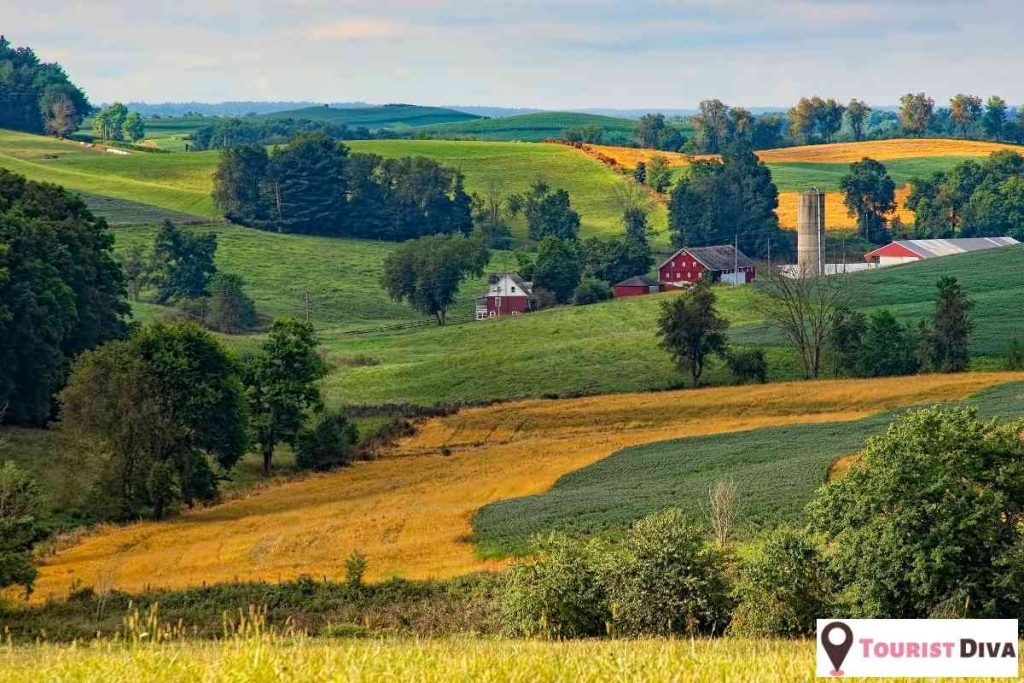 Things to Do in Findlay, Ohio