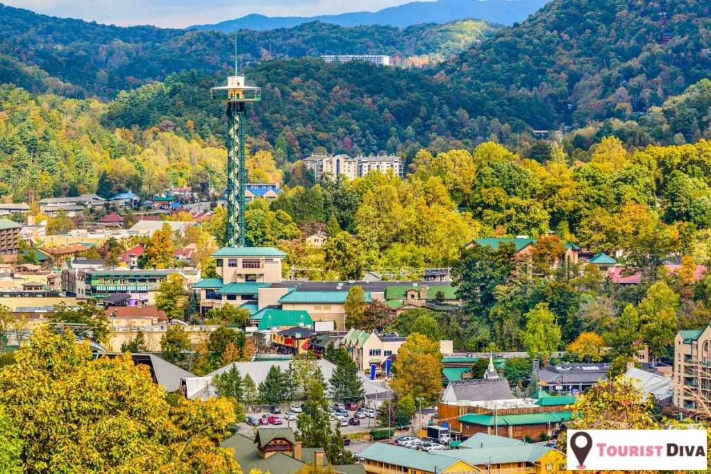 Things to Do in Gatlinburg, TN