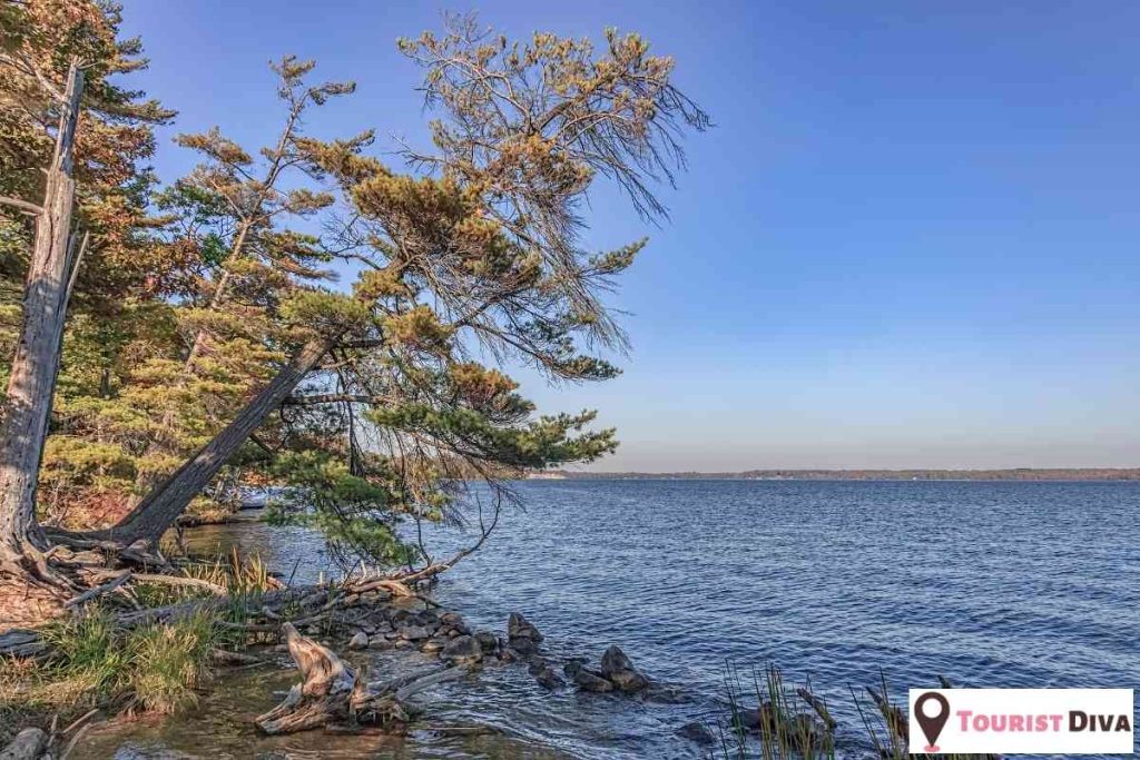 Things to Do in Ludington, MI