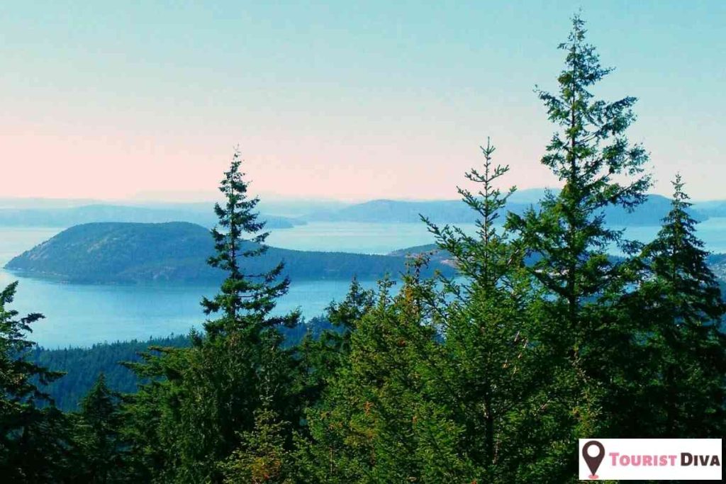 Things to Do in Oak Harbor, WA