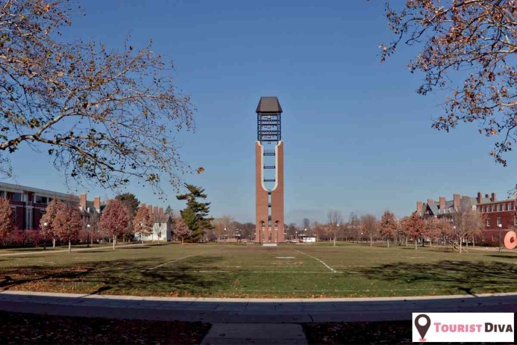 Things to Do in Quad Cities