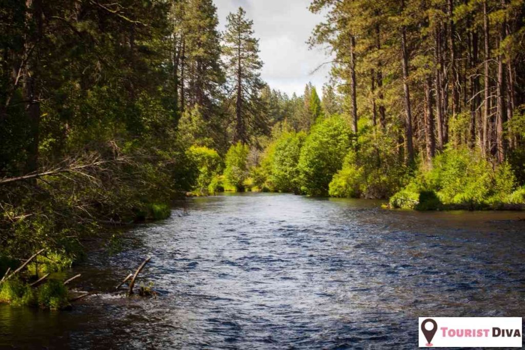 Things to Do in Sisters, Oregon