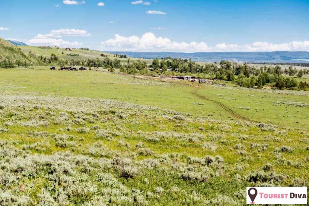 Things to Do in West Yellowstone