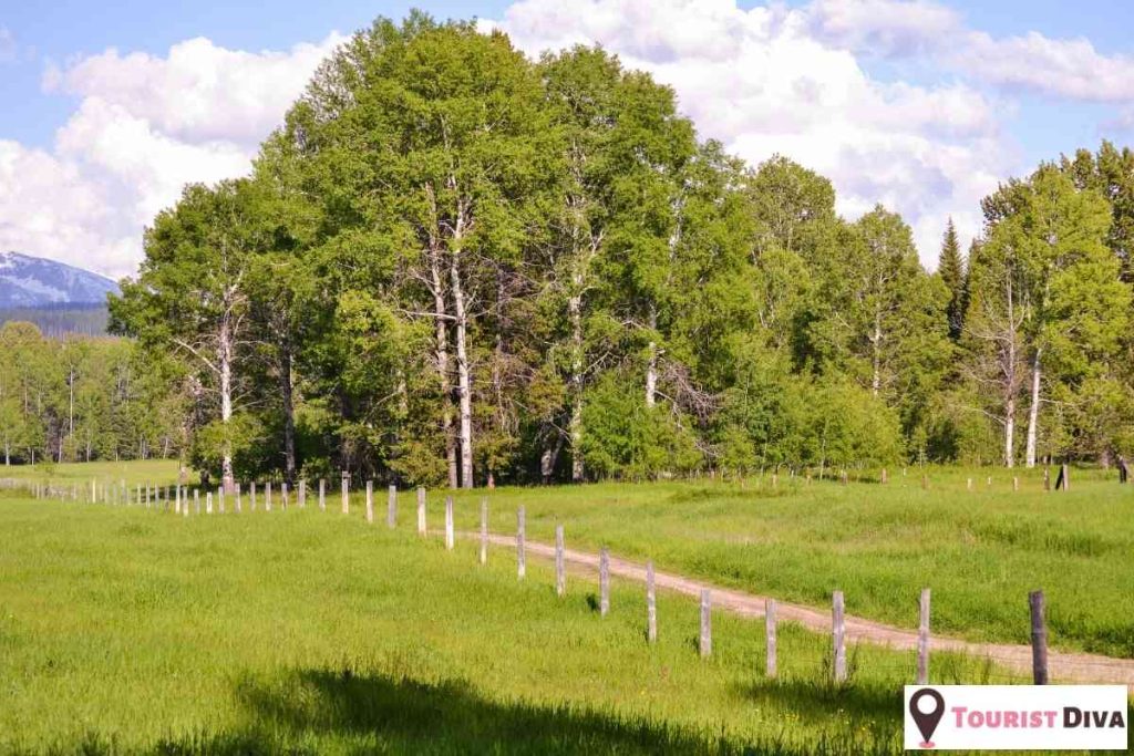 Things to Do in Western Montana