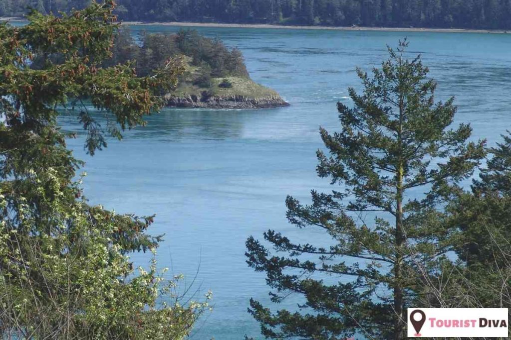 Things to Do in Whidbey Island