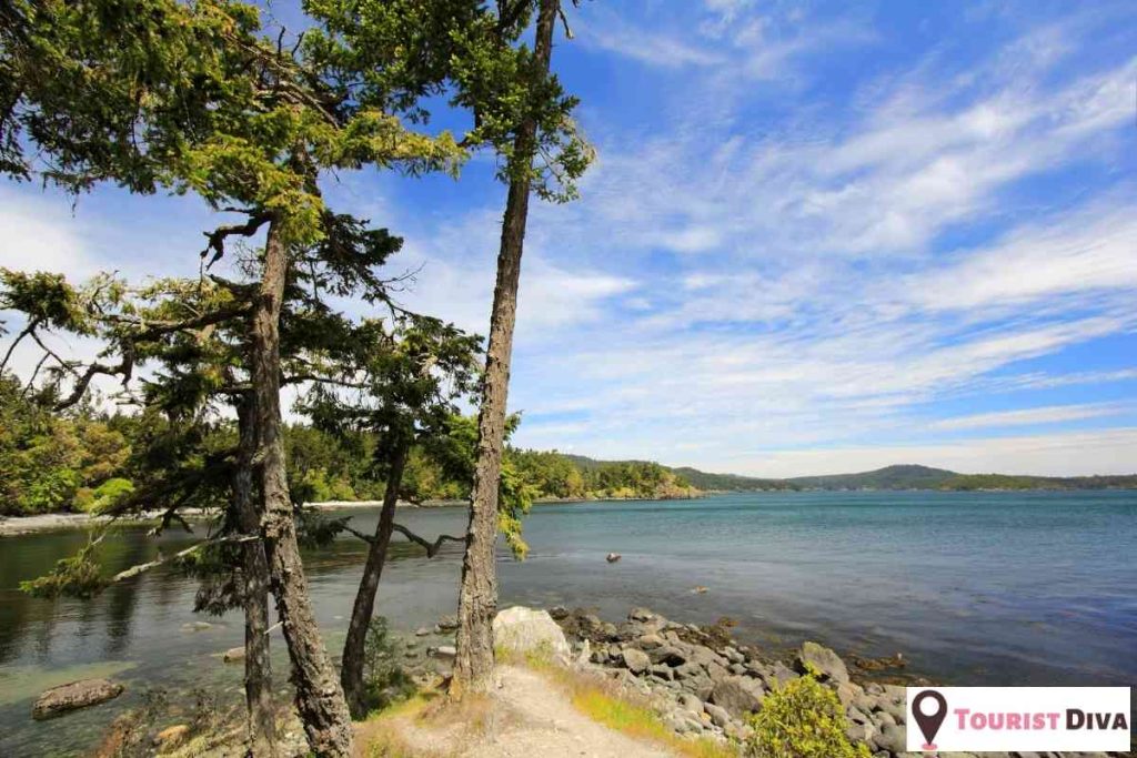 Things to do on Vancouver Island