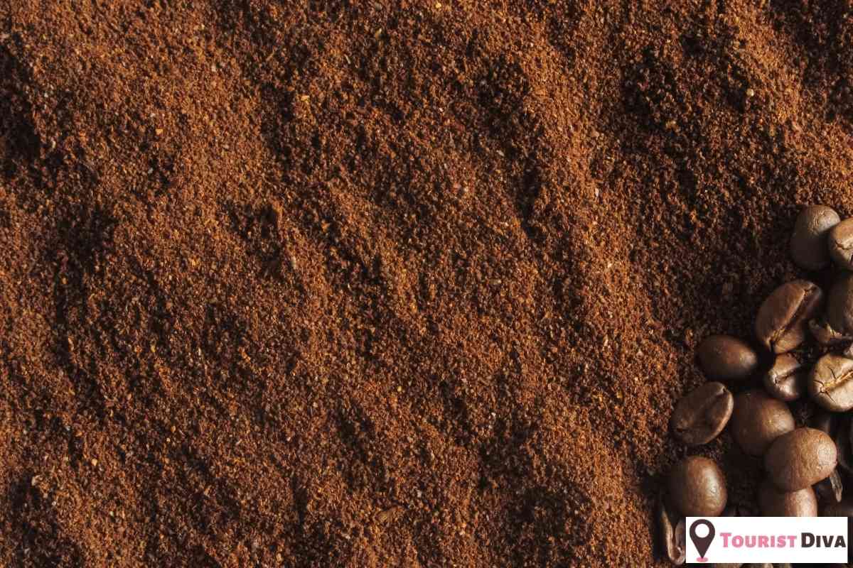 21 Fun Things to Do In La Crosse (WI)