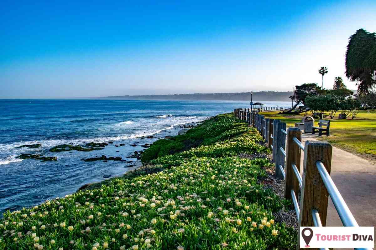 21 Fun Things to Do In La Jolla (CA)