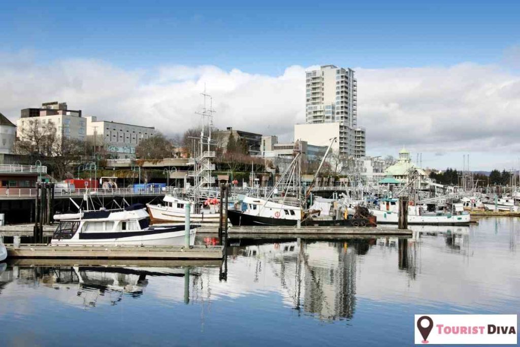 Things to Do In Nanaimo, BC
