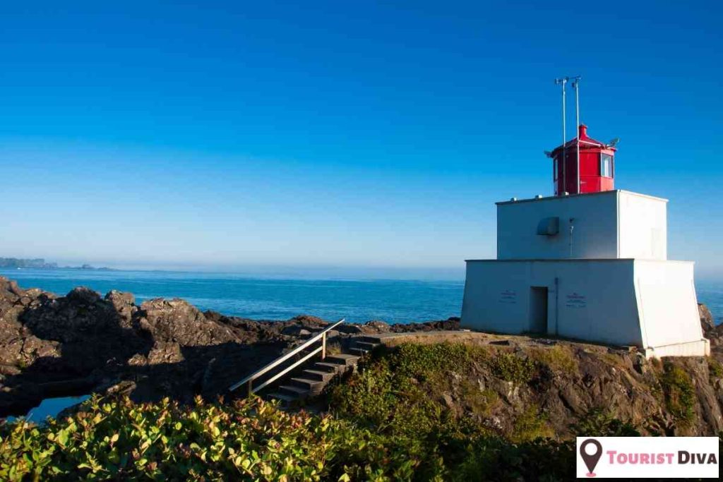 Things to Do In Ucluelet, BC