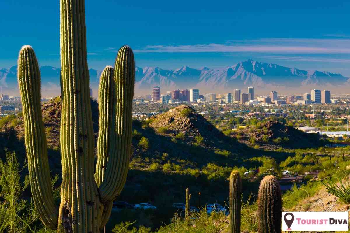 21 Fun Things to Do in Phoenix (Arizona)