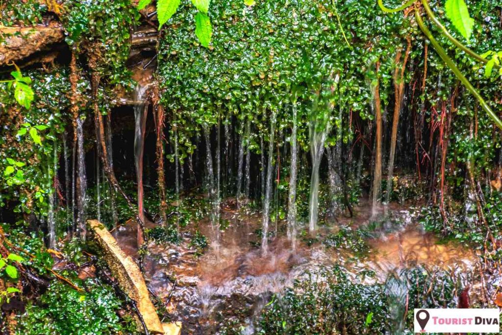 Things to Do in Cookeville, TN