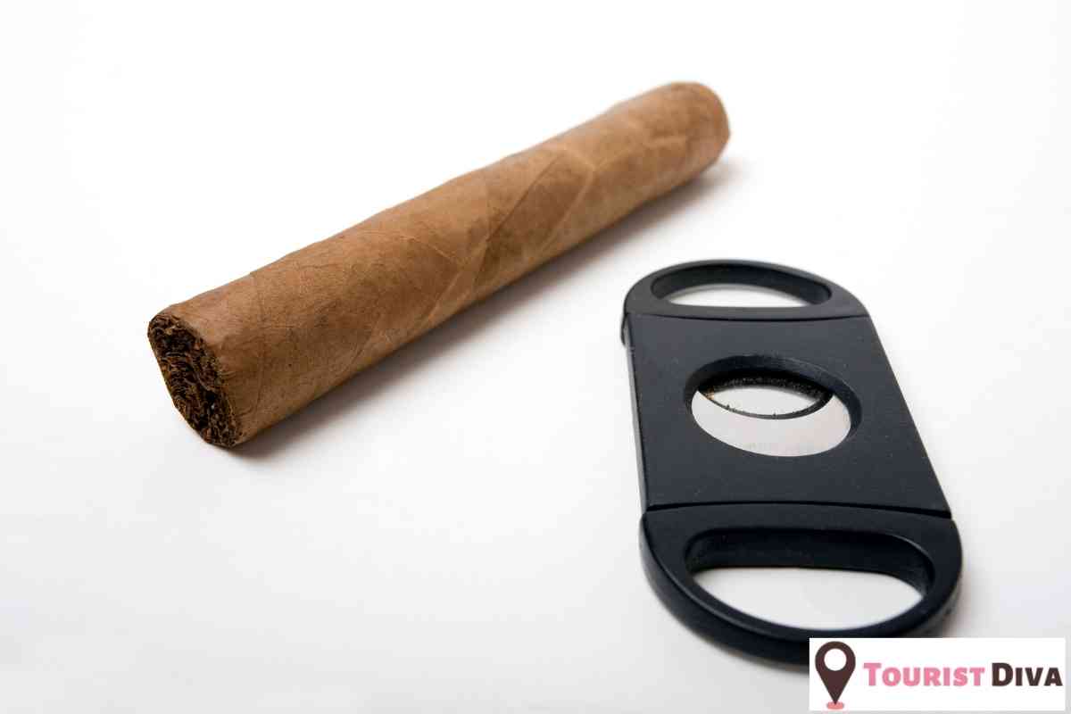 21 Fun Things to Do in Brandon (FL)