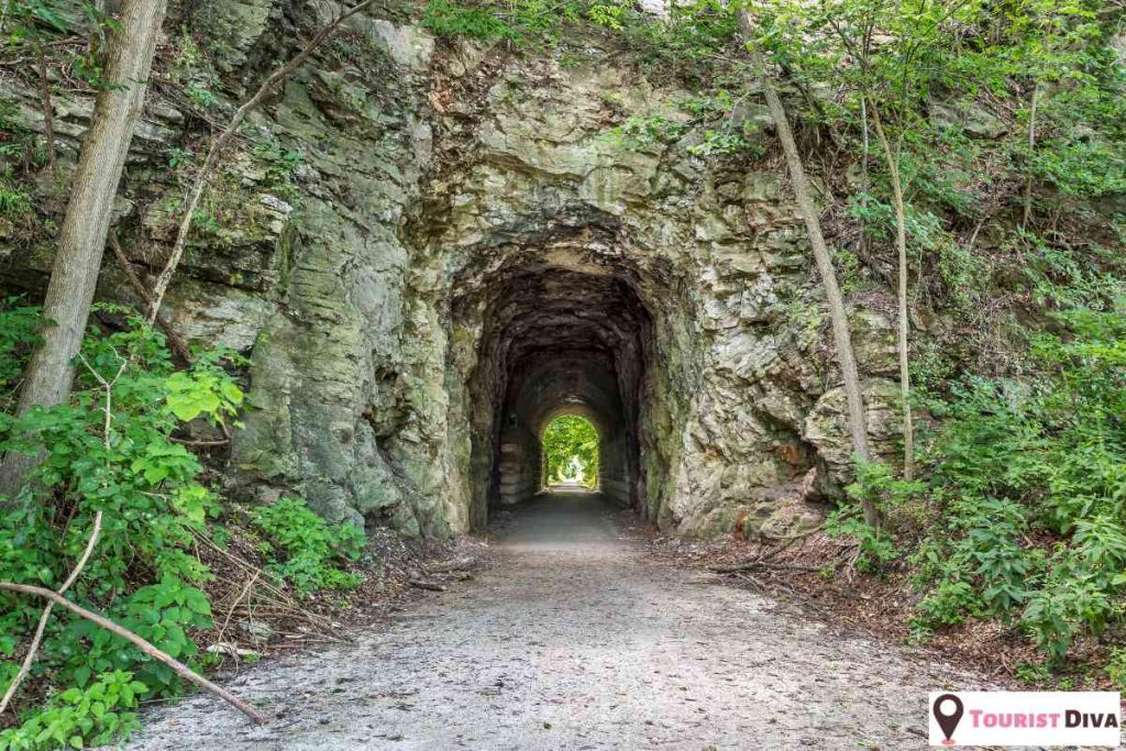 Things to Do in Katy (TX)