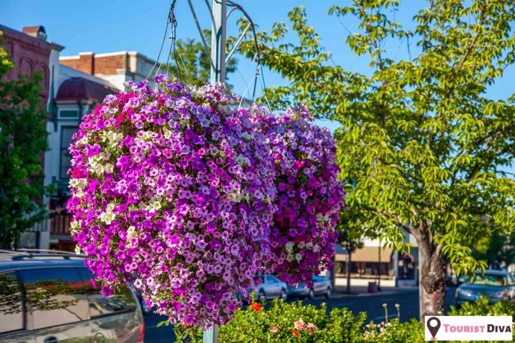 Things to Do in Medford (Oregon)