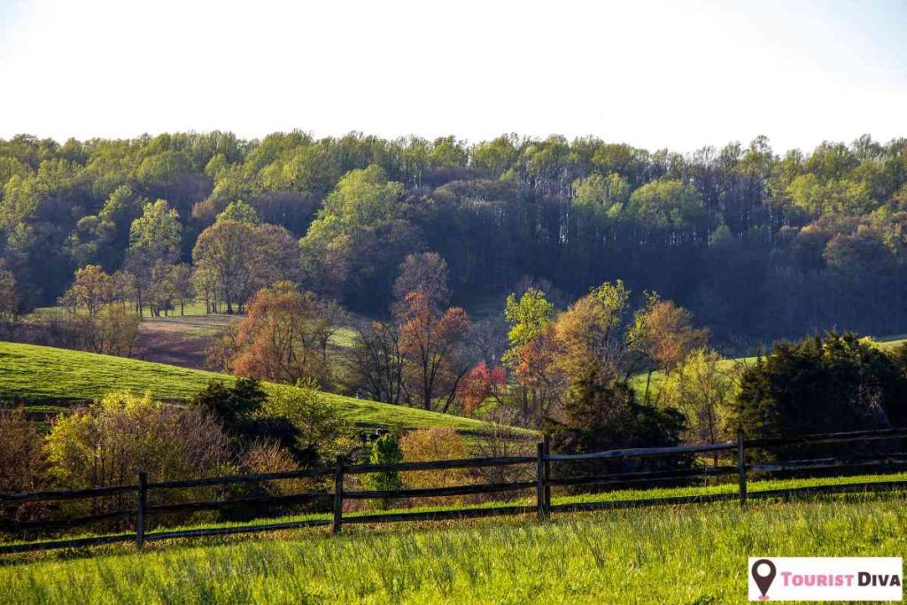 Things to Do in Woodbridge, VA