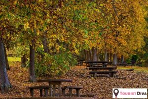 21 Fun Things to Do in Kingsport (TN)