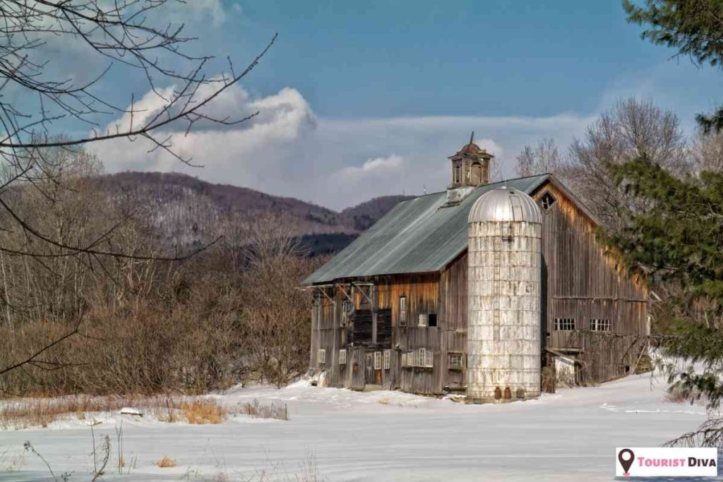 Places To Eat In Waterbury (VT)