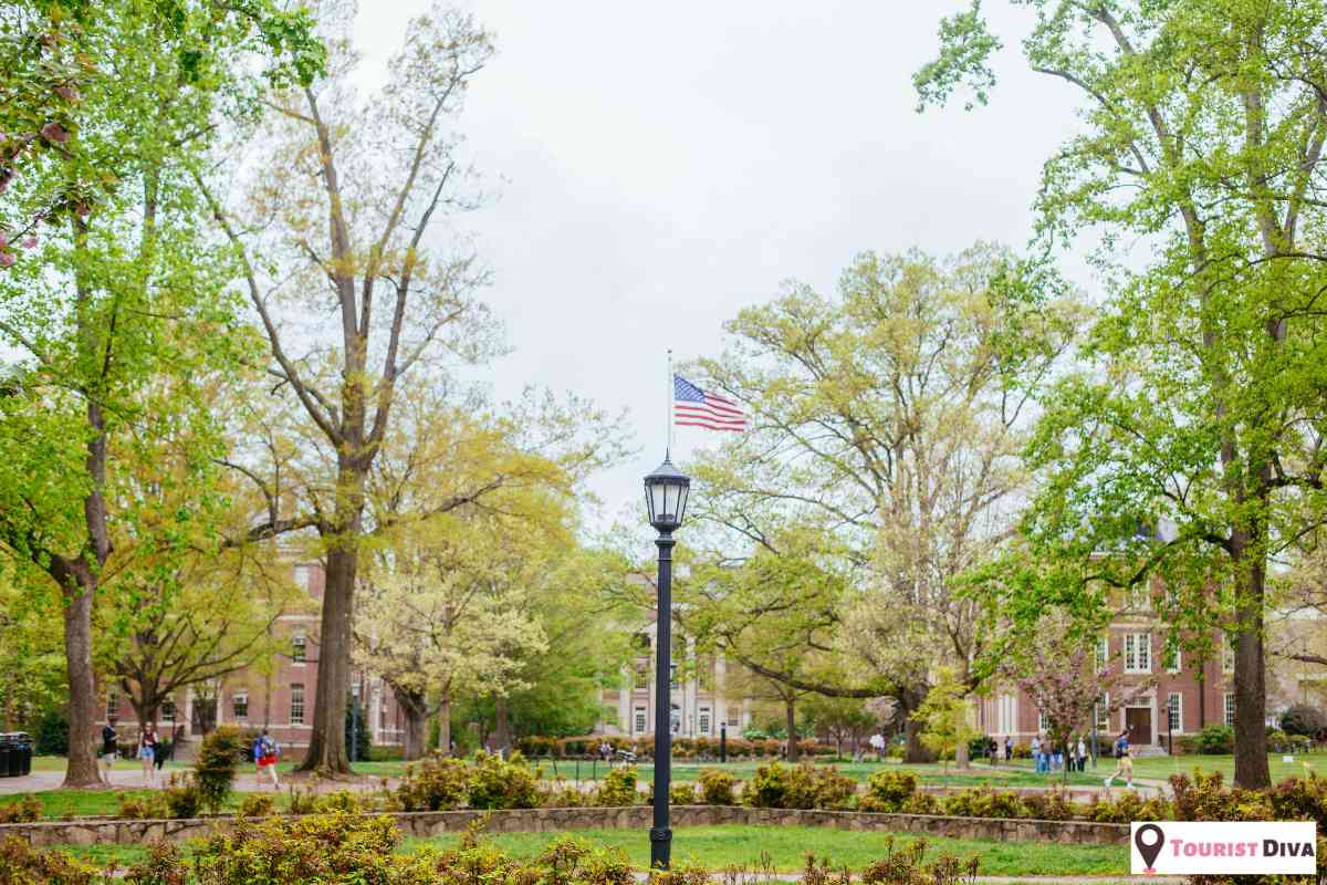 21 Fun Things To Do In Chapel Hill (NC)