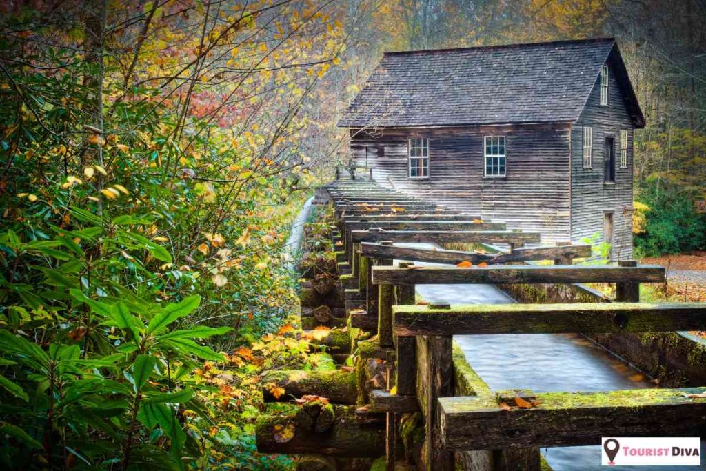 Things To Do In Cherokee (NC)