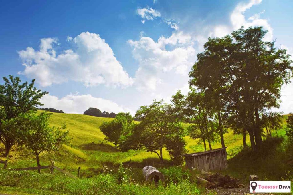 Things To Do In Franklin (NC)