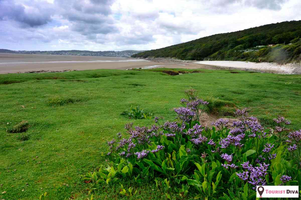 21 Fun Things To Do In Silverdale (WA)